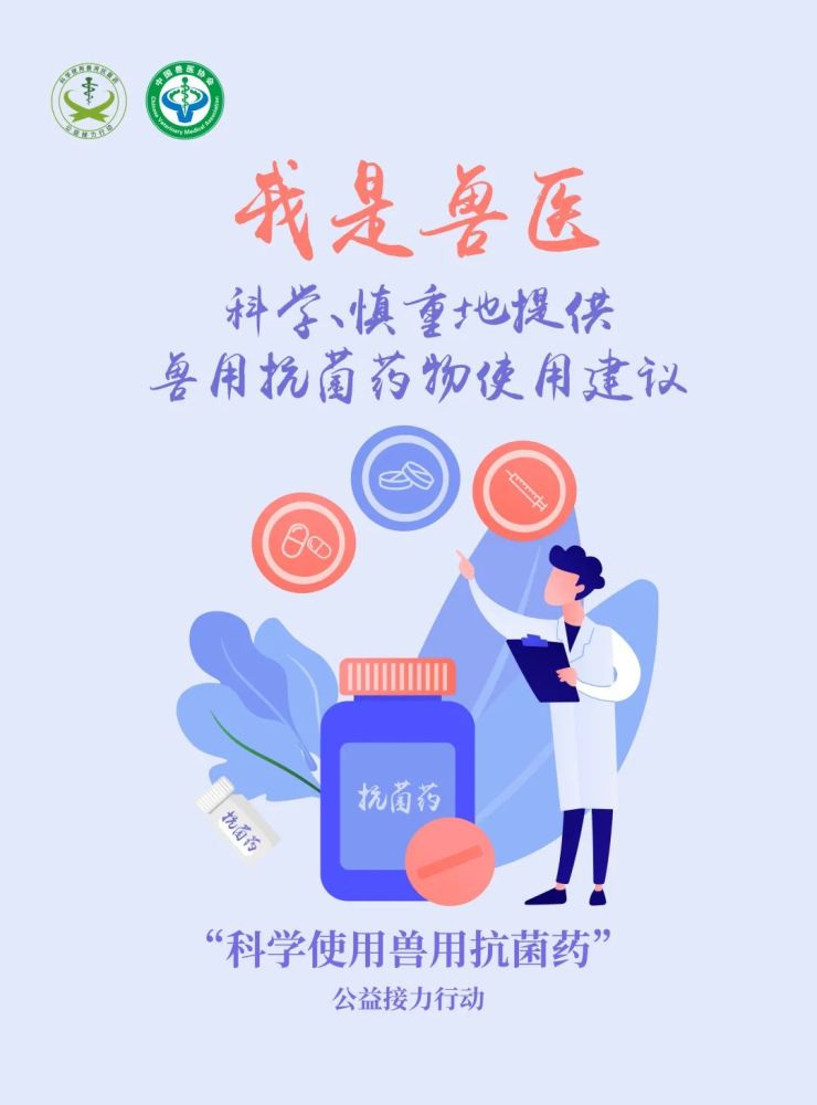 世界兽医日科学使用兽用抗菌药兽医在行动
