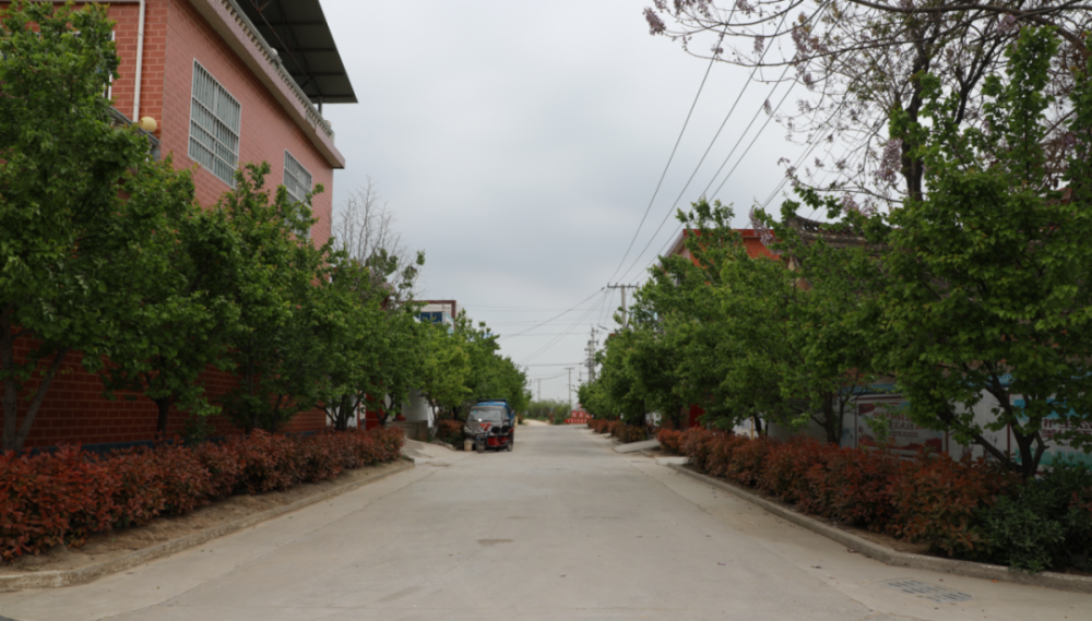 许昌市建安区苏桥镇程庄村程庄村有个肉驴养殖场