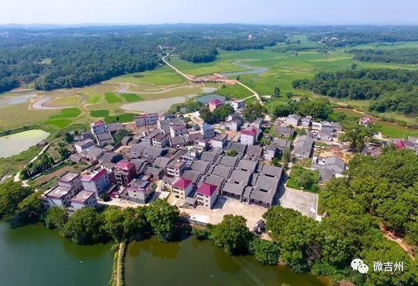 学党史悟思想办实事开新局九打吉安这一年的藤桥村