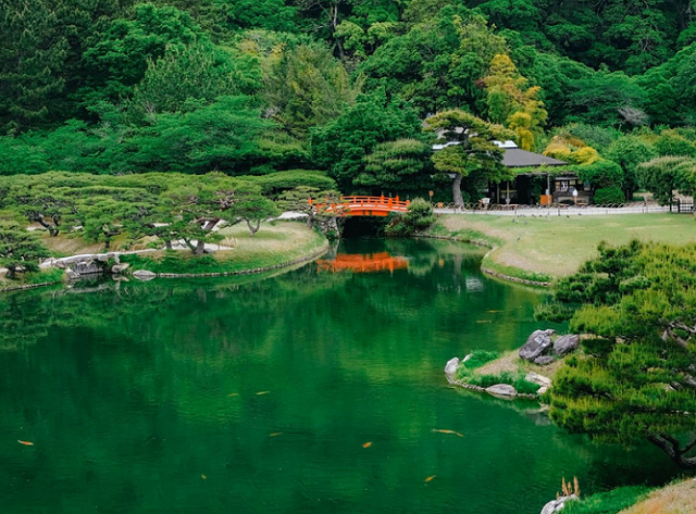 日本的鄉村風景秀麗民宿有特色為什麼前往旅遊的人卻比較少