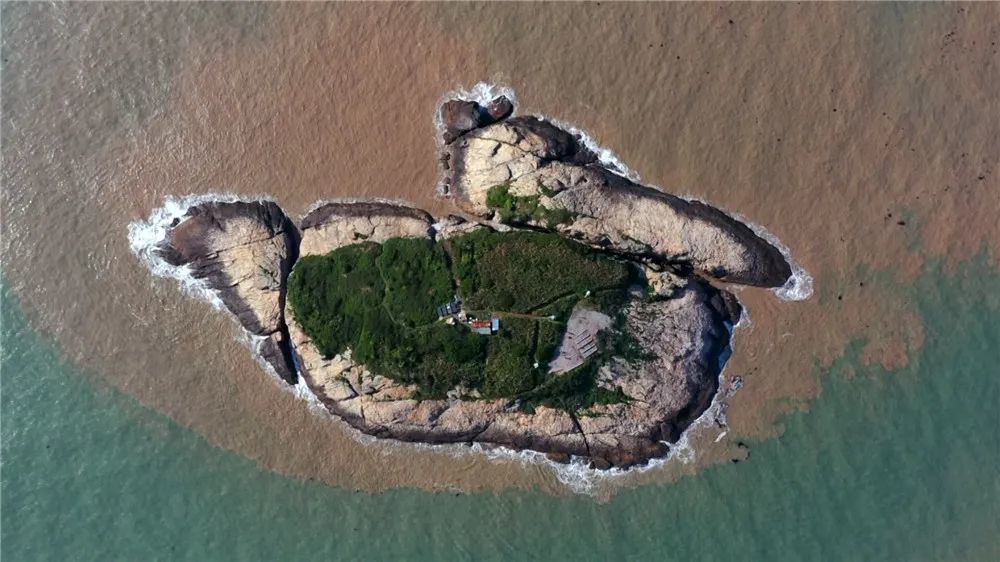 韭山列岛新一轮神话之鸟招引保育启动驻岛首日2只先头部队落地