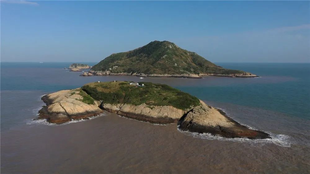 韭山列岛新一轮神话之鸟招引保育启动驻岛首日2只先头部队落地