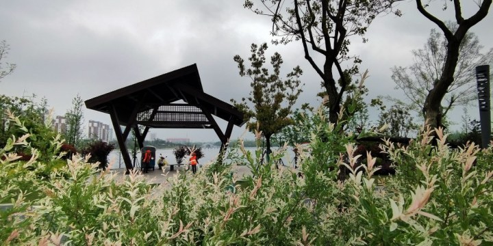 成哥每日一拍风光如画遂平玉带河景观公园一道亮丽的风景