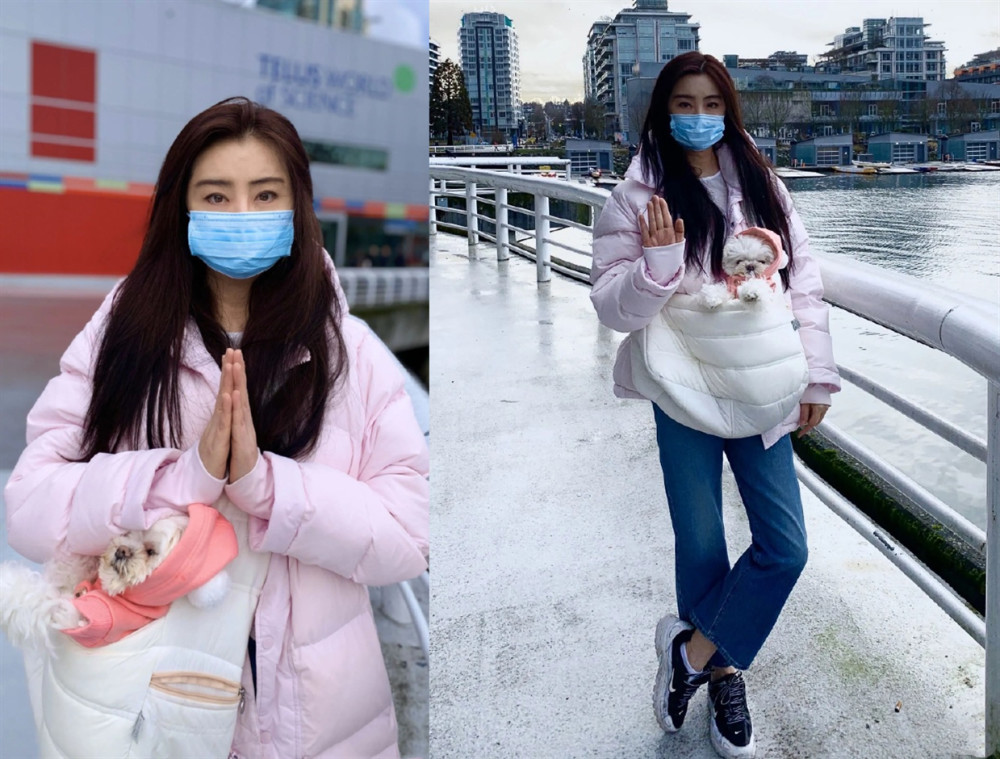 54岁王祖贤近况接地气穿超短裙街边遛狗大长腿瞩目气质不凡