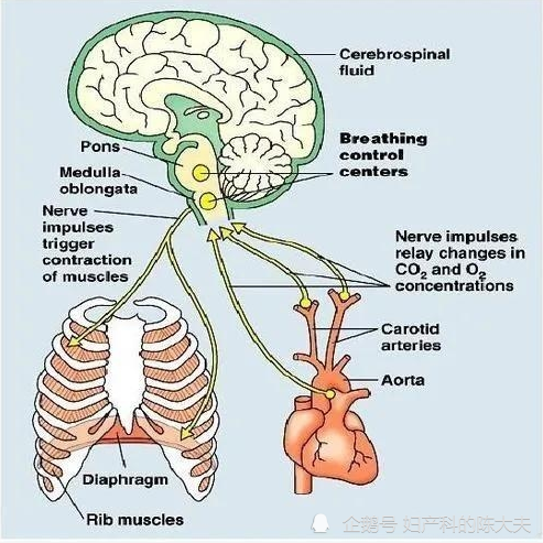 印度医院氧气瓶泄漏致22名病人死亡(图1)