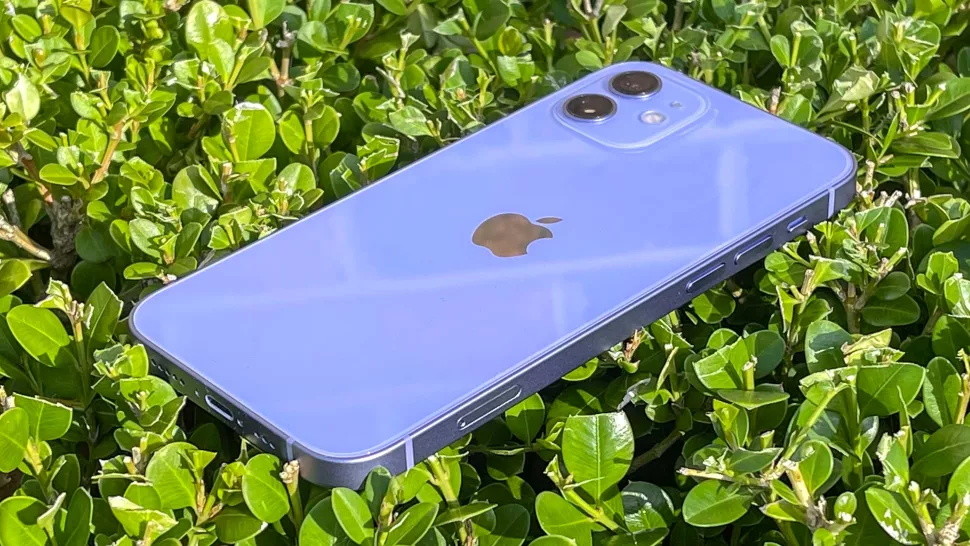 紫色版iphone 12的外观颜值很高 玻璃后盖可反射出不同色泽 腾讯新闻