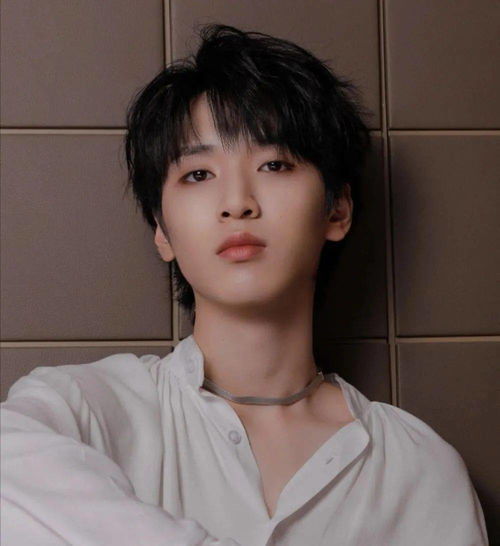 严浩翔的粉丝名应援色应援口号你们知道吗严浩翔头像