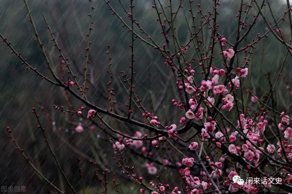 春雨淅瀝,潤澤萬物,五首寫春雨的經典古詩,你可以都背下來嗎?