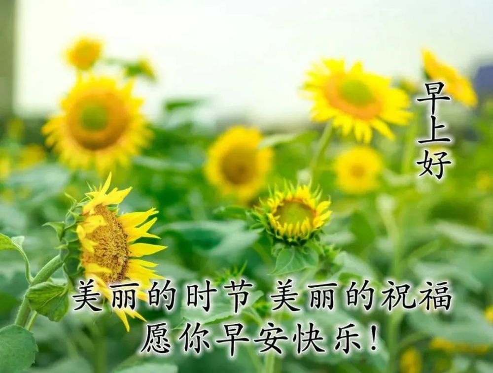 2021朋友早晨微信問候語特好看早安祝福美圖送給你