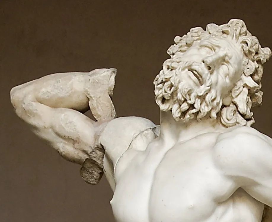 五百年前米开朗基罗的意见无人理睬,就像三千年前拉奥孔的预言无人能