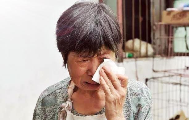 啃老,是年轻人理所当然的行为