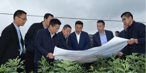 南郑区|幼儿园|梁山镇|杨守奎|教体局|曹俊强