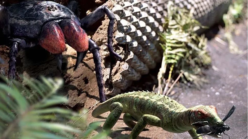 正在捕食爬行动物的中突蛛