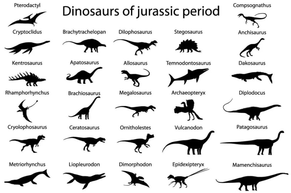 恐龙成为地球的主导,数量种类逐渐繁盛