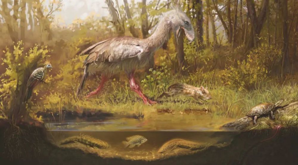 古近纪始新世生物面貌——恐鹤 在追逐小型哺乳动物
