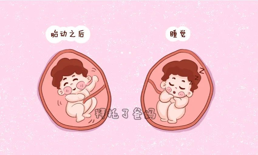 3个胎儿睡眠时间点孕妈你别打扰