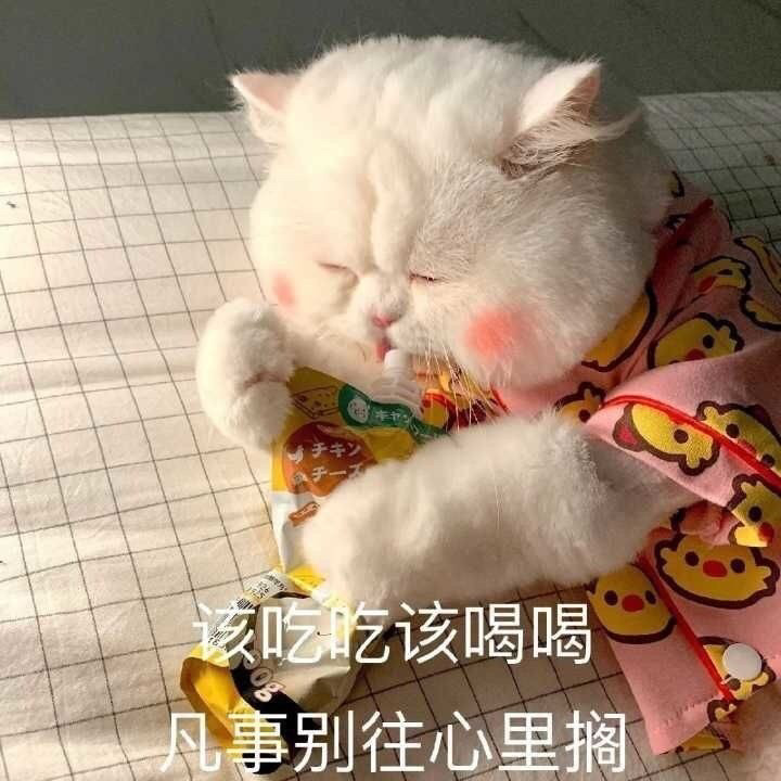 呆呆傻傻的表情包合集