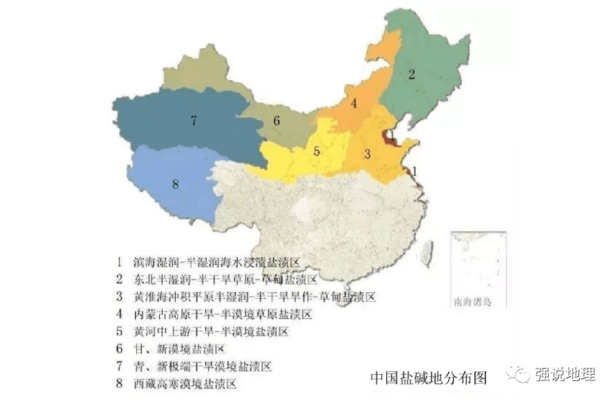 高考地理小专题海水稻