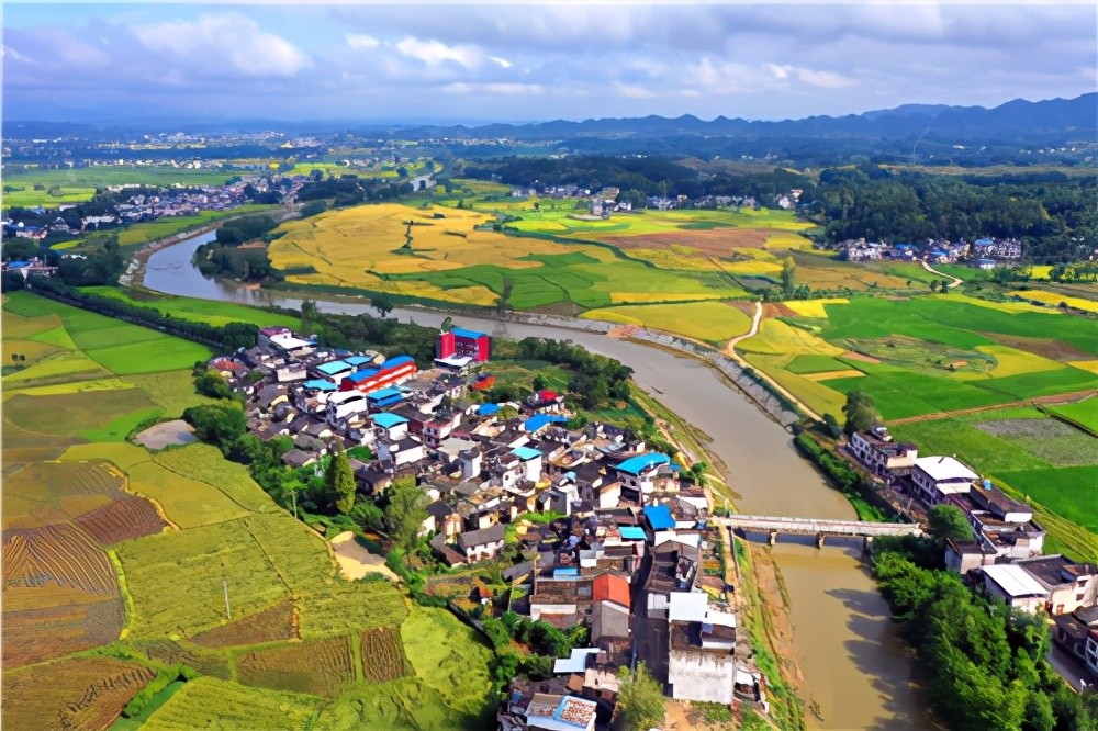 沙坪镇堰市村做细保障体系,凝聚各方合力坚持"党委主责,政府主导,群众