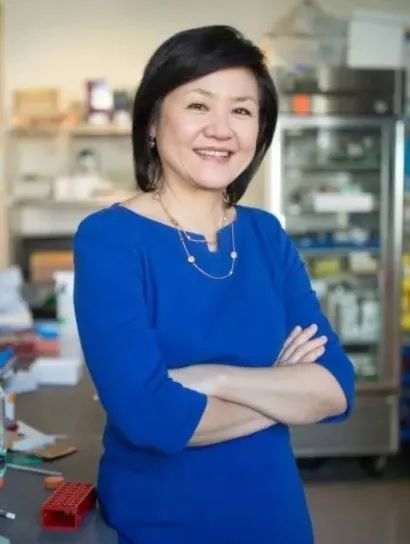 蔡立慧,出生于中国台湾,现任麻省理工学院picower学习与记忆研究所