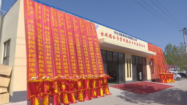 阜城网站建设公司_阜城网站建设公司有哪些