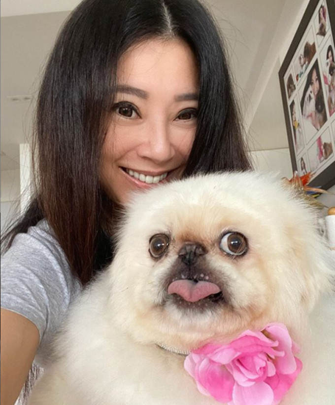 傅明宪近况曝光攀爬悬崖峭壁场面惊险50岁未婚无子女沉迷养狗