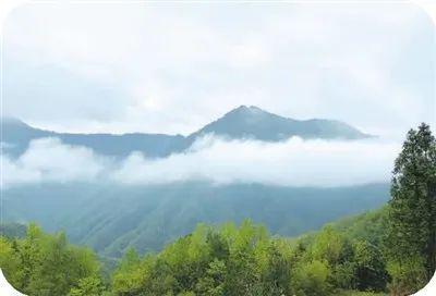 也许,这里云海轻纱帷幔,山涧冰壑玉壶,这里群山嵯峨黛绿,竹林蓊郁绵延