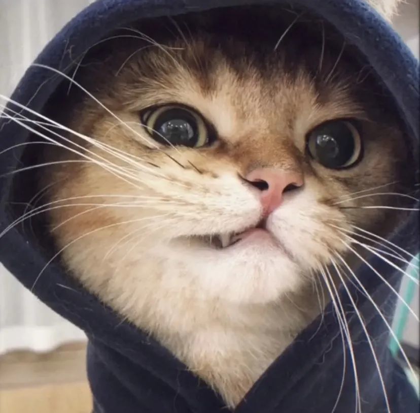 微信头像优质男女生头像篮球大佬