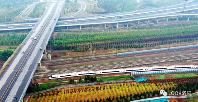 洛阳动车组存车场正式投用 你们需要的始发车来啦!