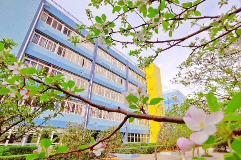 泡桐树小学西区(泡桐树小学西区好不好)