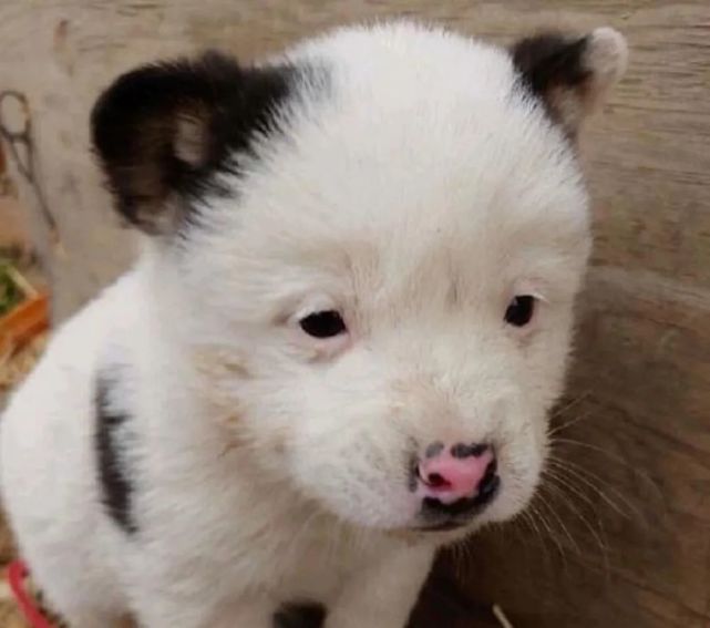 你以为你贴出来的是双眼皮,其实是皱纹