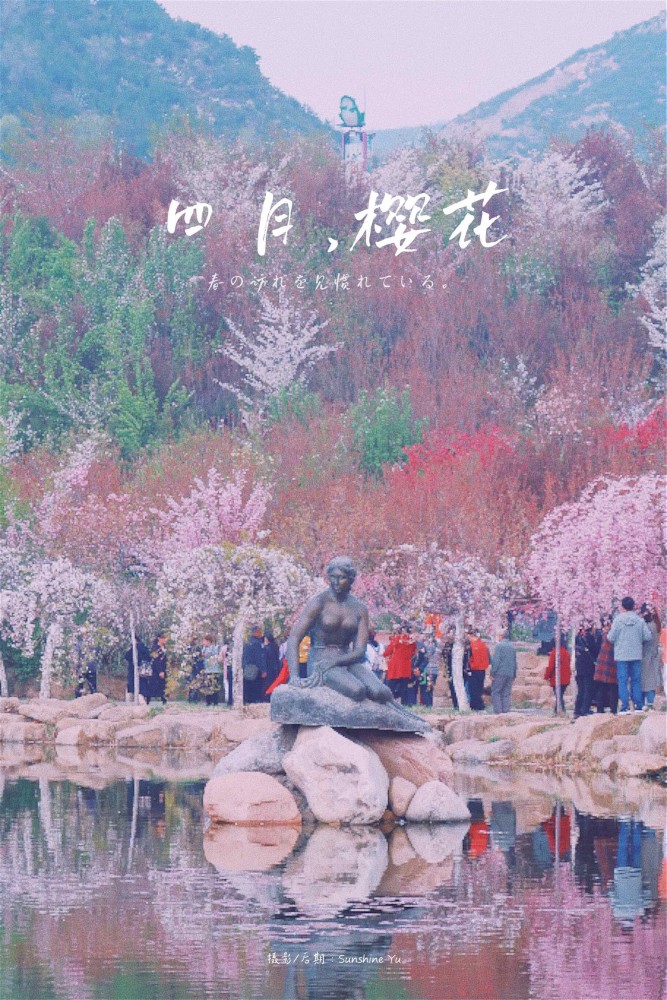 太原樱花圪僚沟里的世外桃源心动了吗丰子恺先生说