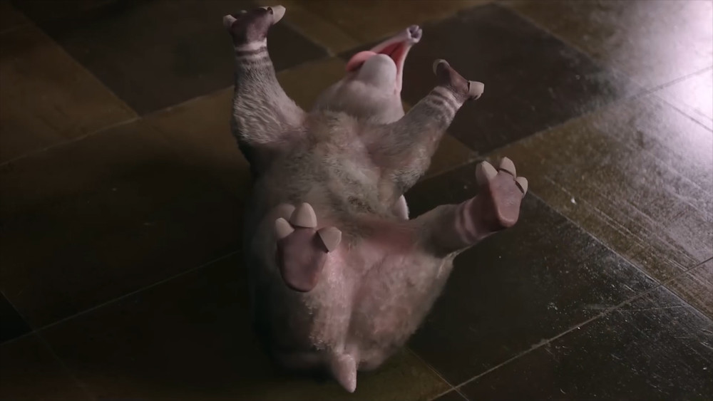 富家千金在梦中与上古神兽谈恋爱陆天骄梦貘结局十二谭