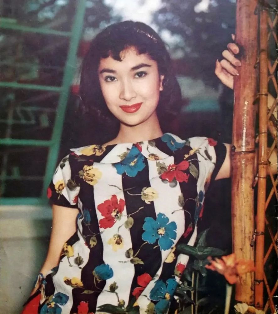 下南国舞蹈团的全体精英,包括李菁,秦萍,张燕,邢慧,黄莎莉等明星演员