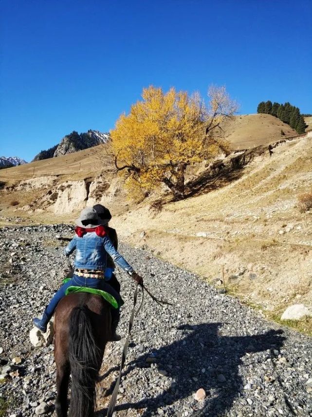 景區內,哈薩克人為你準備了馬匹,信馬由韁,觀光賞景,好不悠然.