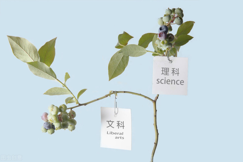 高中文科和理科的差别是什么 哪科学起来轻松 大学选择余地大 腾讯新闻