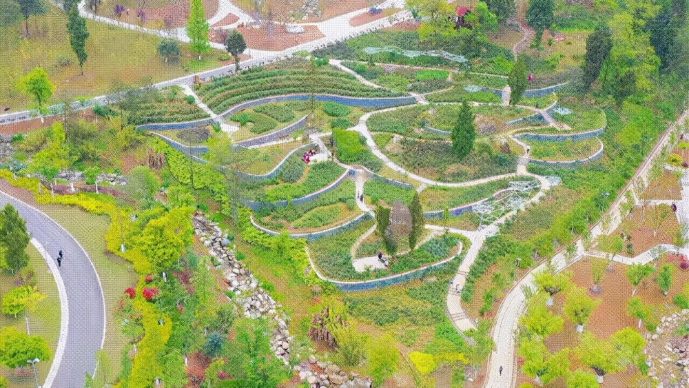 汉中植物园开园汉中人又多了个户外休闲好去处