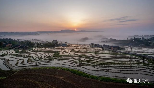 美图重庆盐井村梯田云蒸雾绕描绘最美田园画卷