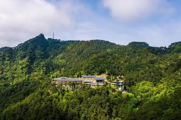 酒店的世外桃源|世外桃源|川东|铁山森林公园|文旅公司|达州|半山酒店