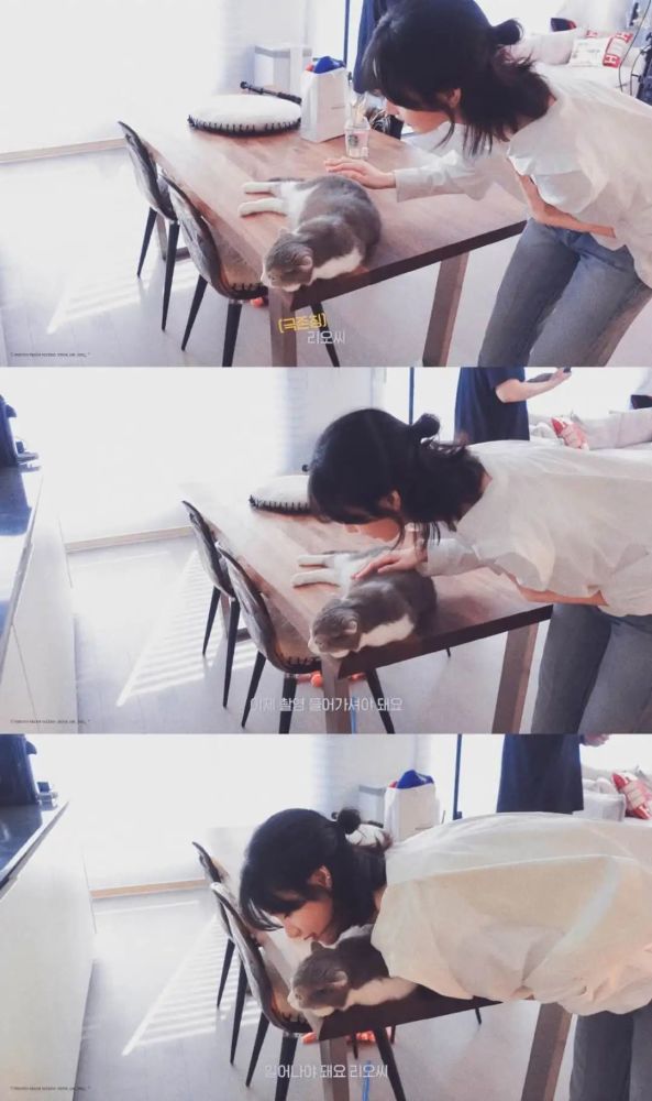 lisa与她的猫咪壁纸