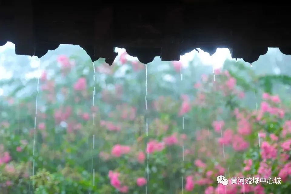 下雨时的泉城济南美成一幅画 腾讯新闻