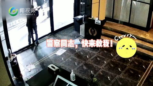 黑龙江东北虎进村咬伤一人 工作人员车窗被咬碎 腾讯新闻