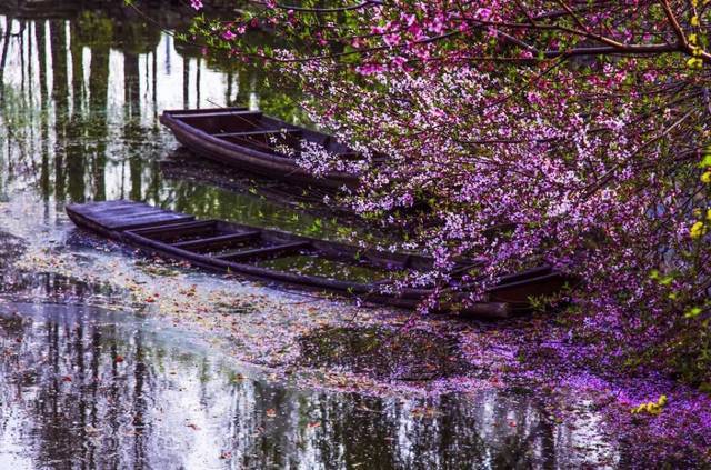 望海潮落花微雨惹情思