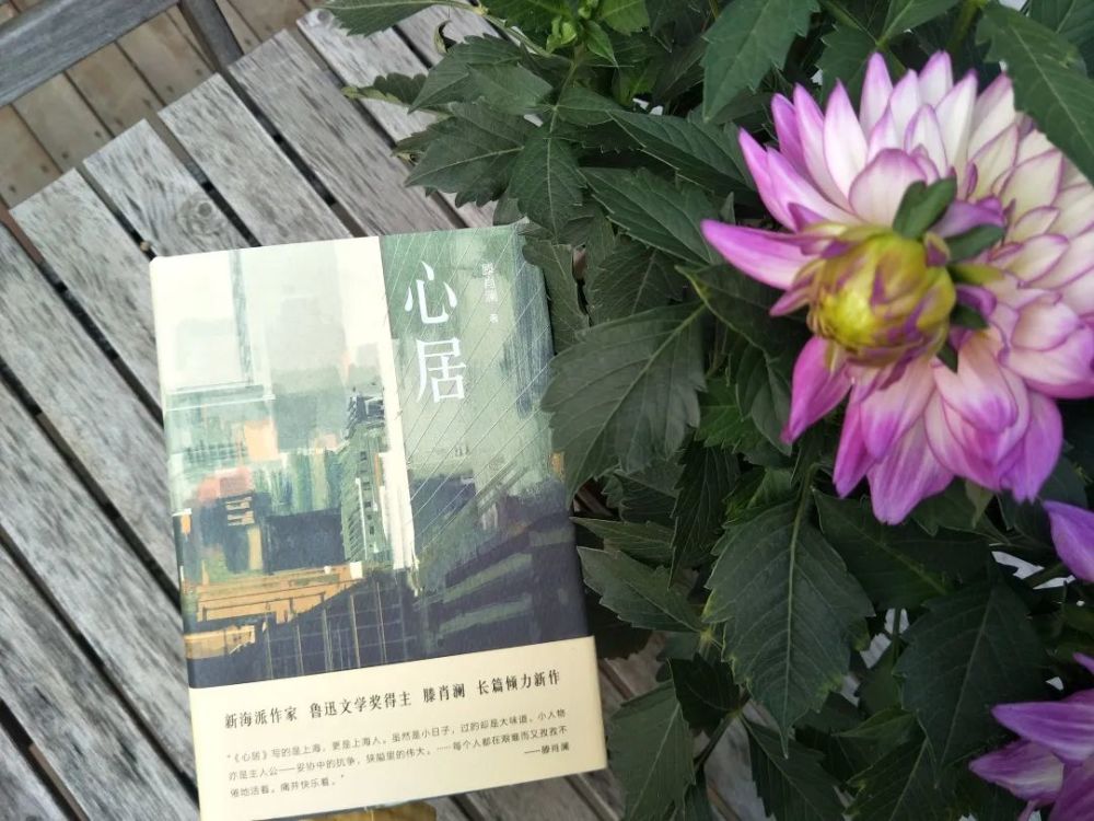 著名作家滕肖澜长篇小说《心居》荣获"2020中国好书"_腾讯新闻