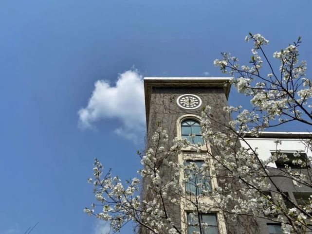 春回杭七中芳菲尽染四月天万树花开待君来