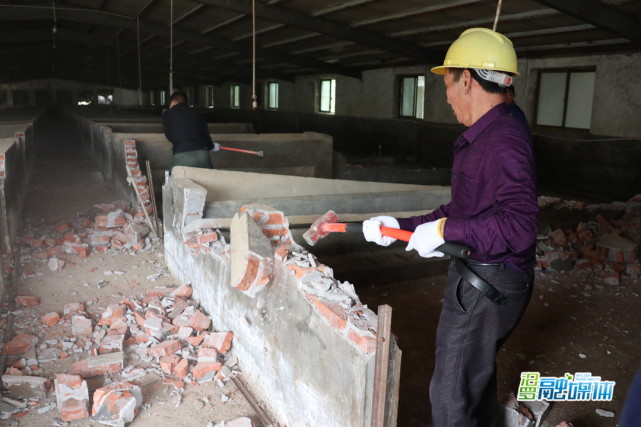 拆违进行时屈子祠镇依法强制拆除两处违建猪场