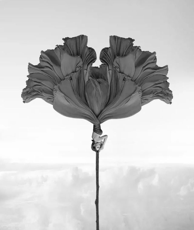世界十大美术摄影师佳作欣赏