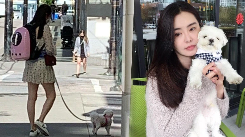 昨天,有位女网友在加拿大温哥华街头,野生捕获正在遛狗的王祖贤,更大