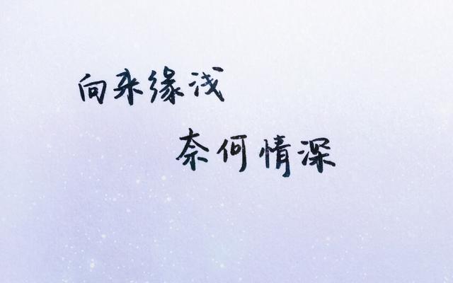 真心爱过的人怎么可能说忘就忘