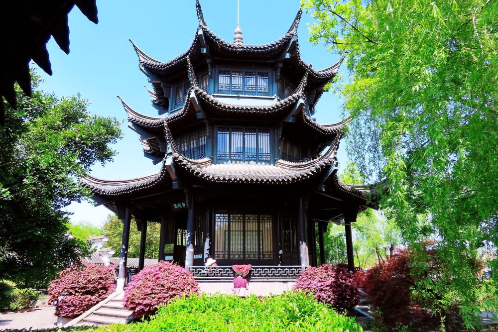 慈城有个被忽略的景点,像一个小"绿肺,林中藏着一个美丽书房